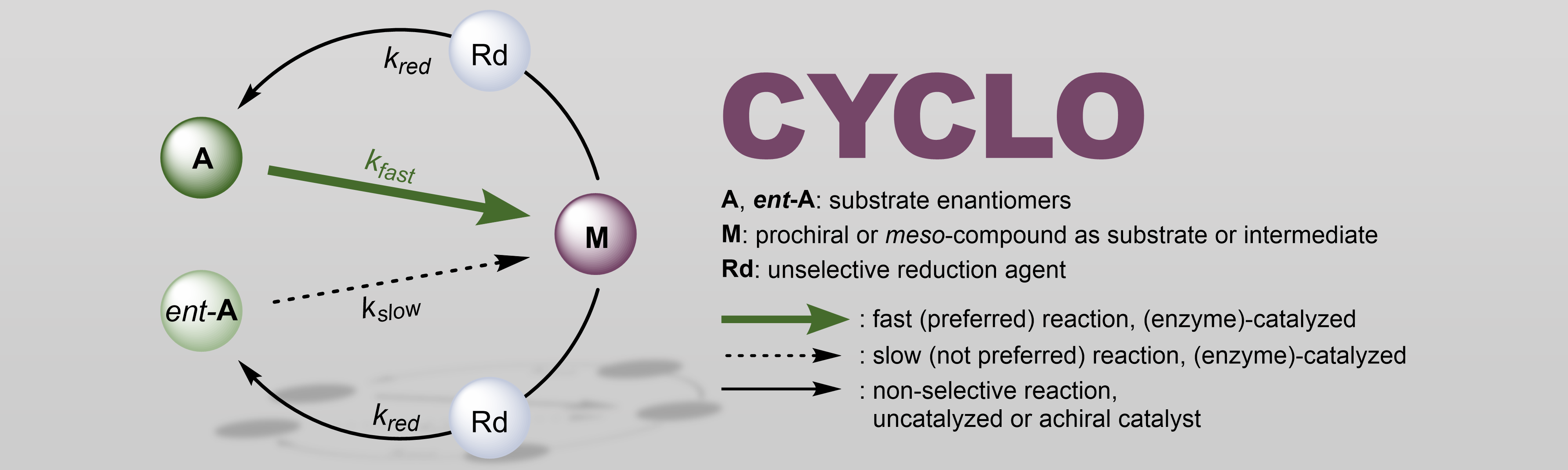 Cyclo