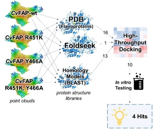 Graphical Abstract